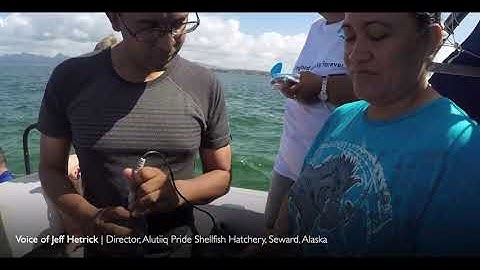 The Ocean Foundation