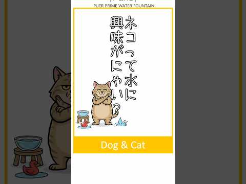 【雑学】ネコちゃんってどうして水を飲むのが苦手なの？？
