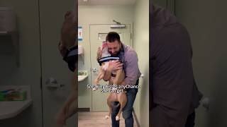 Your Adopted Xl American Bully Turns Out To Be A Daddys Girl