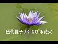 伍代夏子 13 / くちびる花火 (고다이 나츠코 / 쿠치비루하나비)