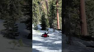 #sequoianationalpark #kingscanyon