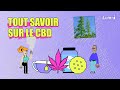 Tout savoir sur le cbd  dcodactu  lumni