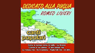 Video thumbnail of "Romeo Livieri - Puglia (Folk Mix)"