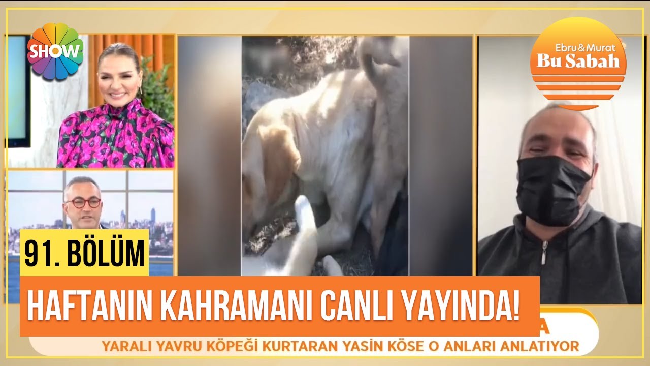 Yaralı yavru köpeği kurtaran haftanın kahramanı Yasin Köse canlı yayında o anları anlatıyor!