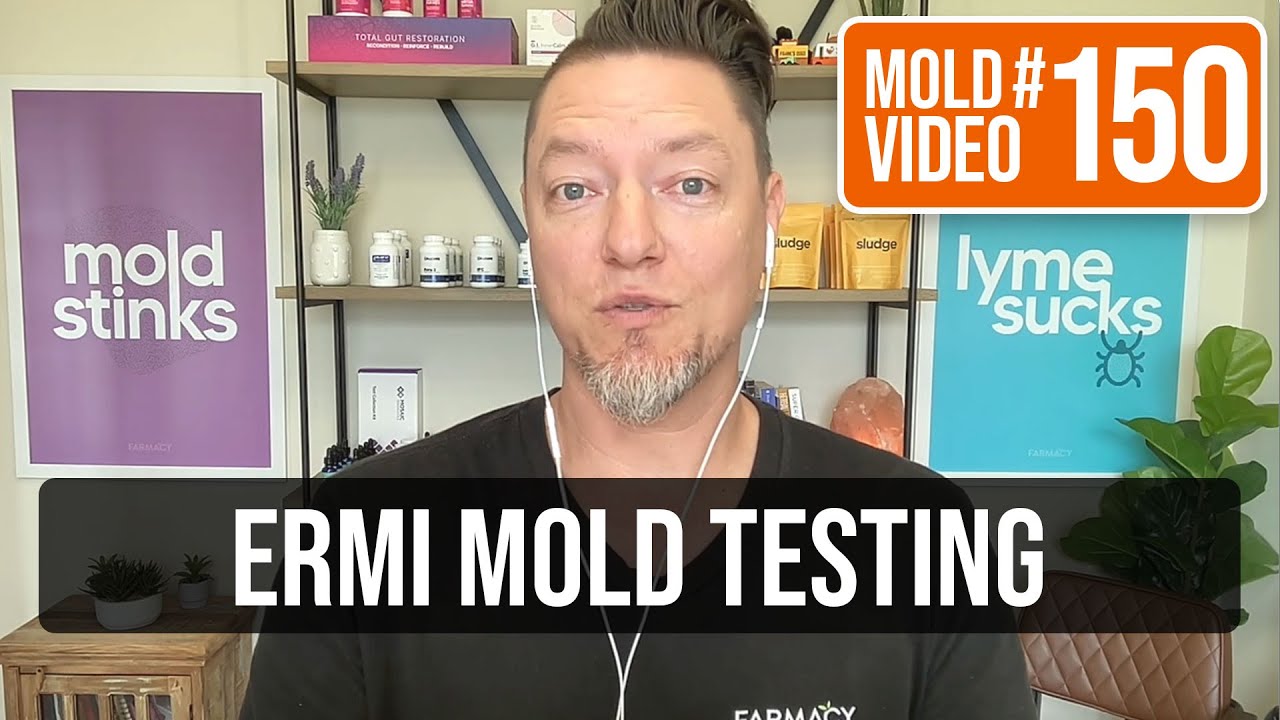 DIY Home Mold Test Kit Review 