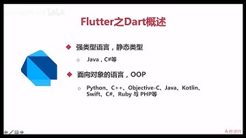 【25年前端项目教程】Flutter从零到一开发，旅游网APP开发实战教程 P5 4 1 Flutter之Dart概述