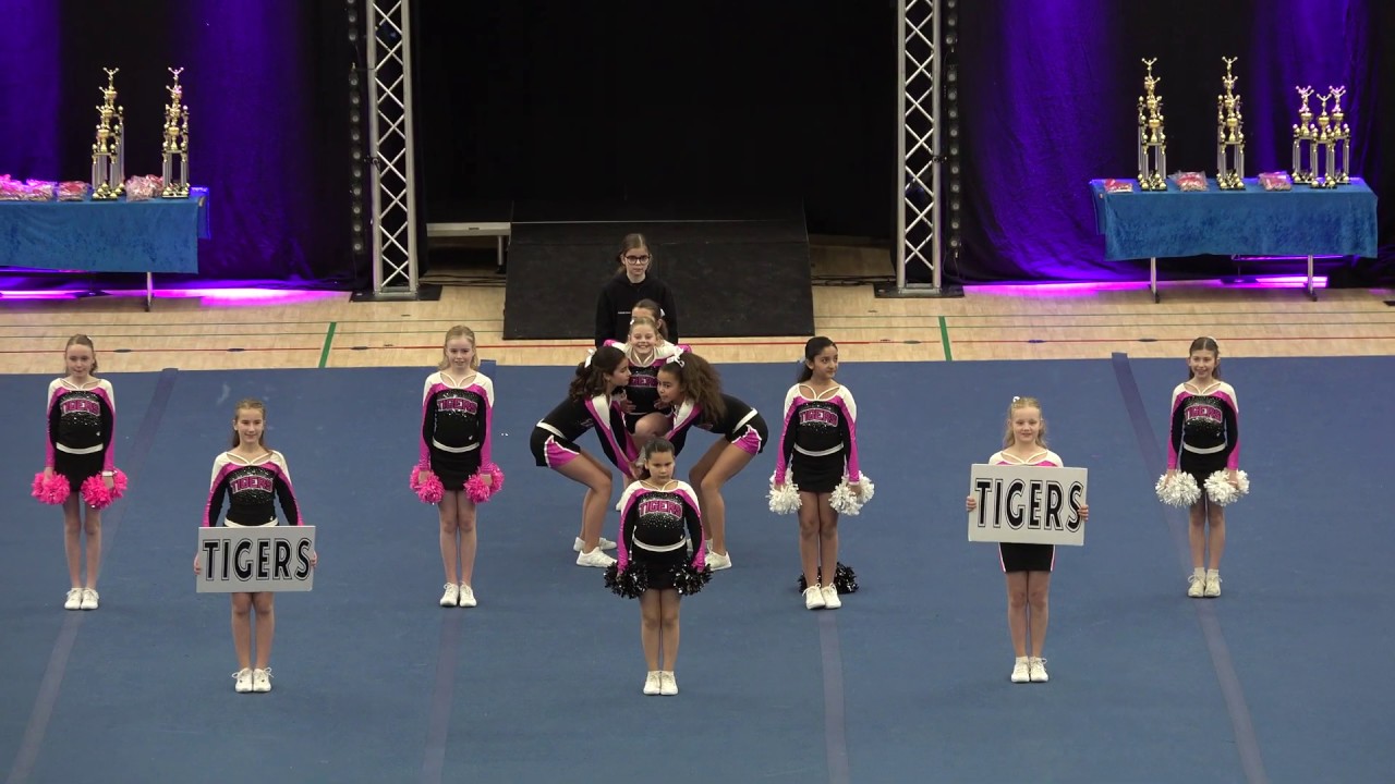 Tigers Charm DM 2019