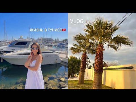 VLOG: первые недели после переезда в Тунис🇹🇳|рум-тур квартиры,обзор цен в магазине