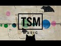 Milky Way　　　TSM music | DancePOP | EDM | No Copyright Music