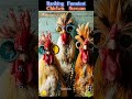 Ranking Best Chicken Scream (4)