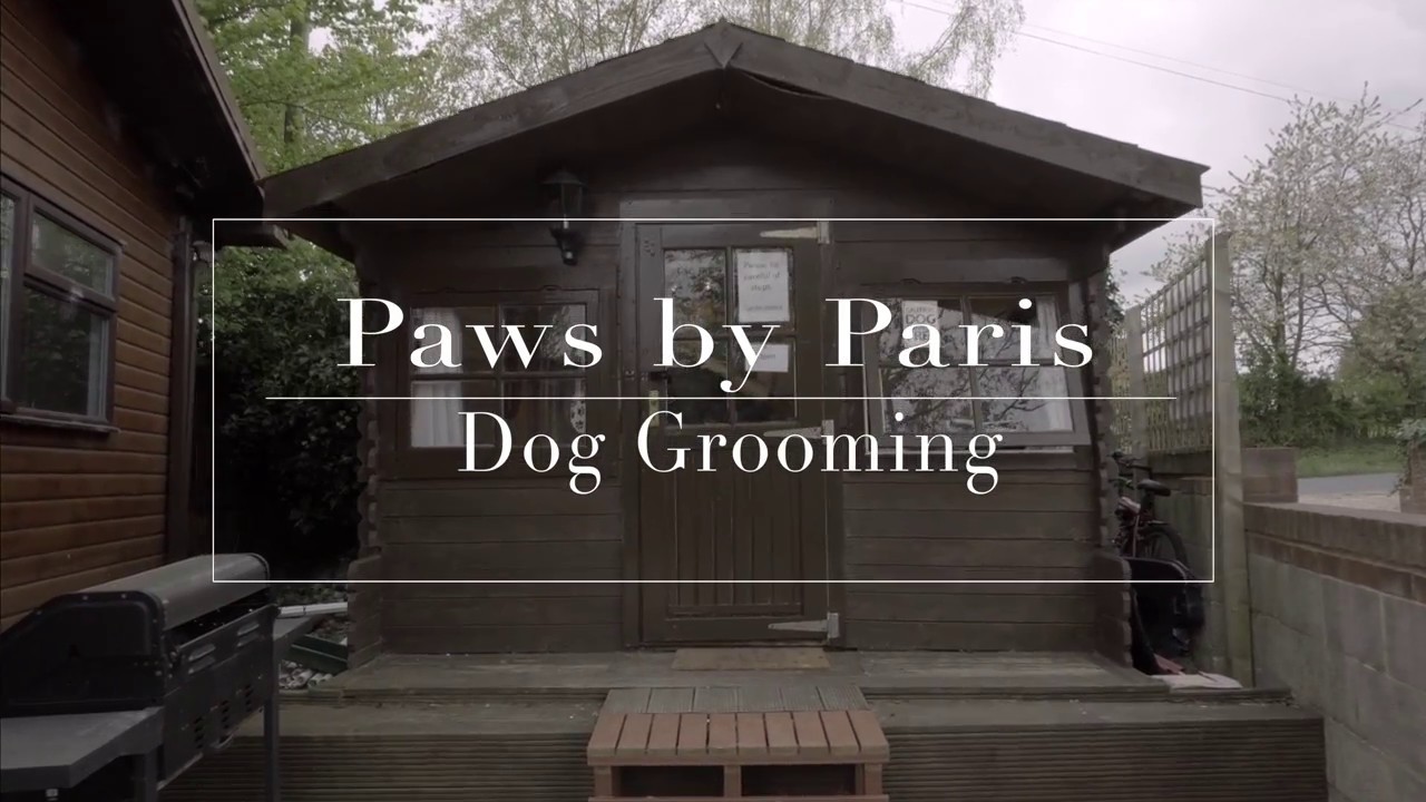  Paws  By Paris  Promo Video YouTube