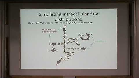 Aleksei Zelezniak | Metabolic interactions in microbial communities