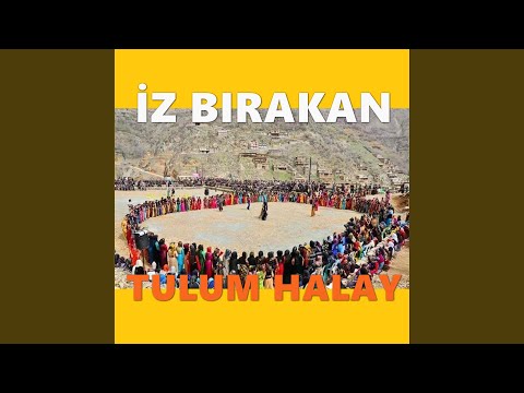 Tılıma Kurdi Strana