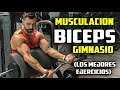 🔴 BICEPS || Los MEJORES EJERCICIOS de BICEPS de MUSCULACIÓN en el Gimnasio.