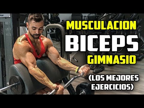 Las 5 mejores máquinas de gimnasio para ganar músculo rápido