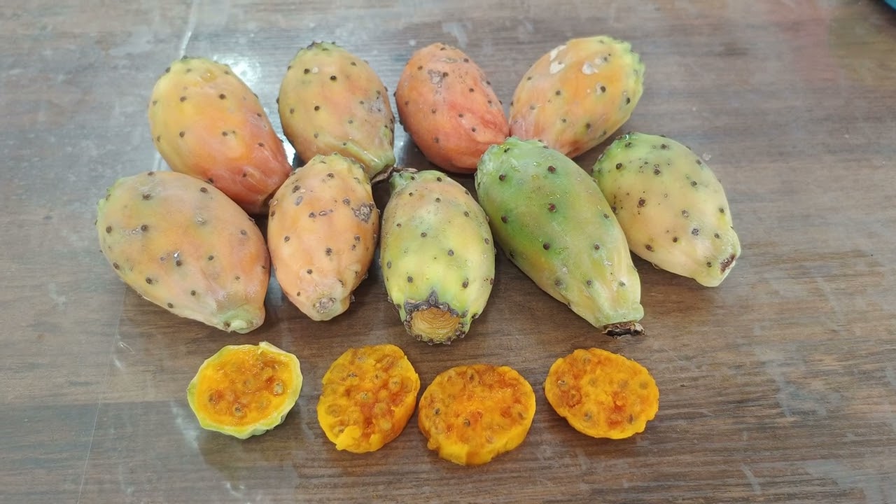 Small harvest of cactus fruits 🌵 / Небольшой урожай плодов кактуса 🌵 