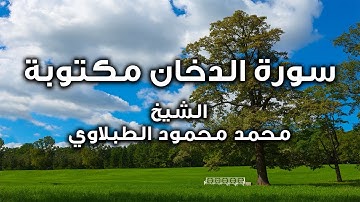 سورة الدخان مكتوبة  - الشيخ محمد محمود الطبلاوي