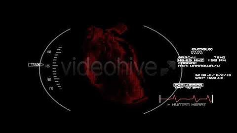 Terminator Heart Vision (Motion Graphics)
