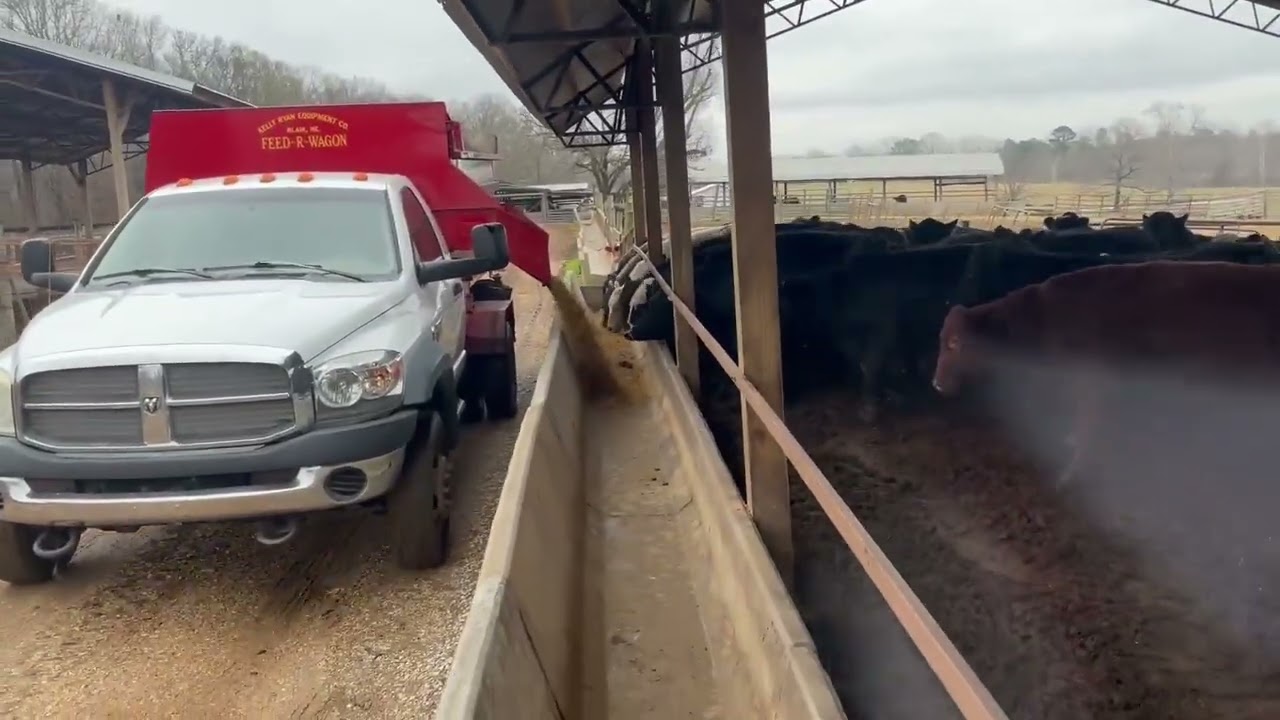 2009 DODGE 4500 HD For Sale