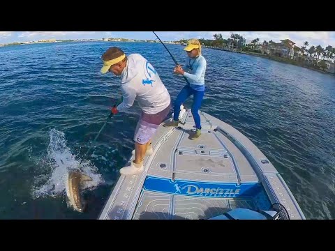 We Fed the Neighborhood with this Shark! Blacktip Shark Catch & Cook