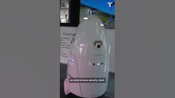 NYPD’s Robot Dog Is Back #shorts