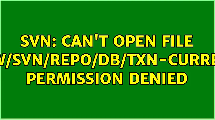 svn: Can't open file '/var/www/svn/repo/db/txn-current-lock': Permission denied