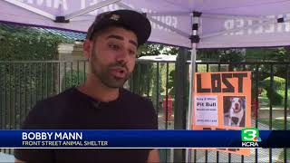 Sacramento animal shelter continues to see lost pets