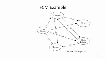 Introduction to Fuzzy Cognitive Maps