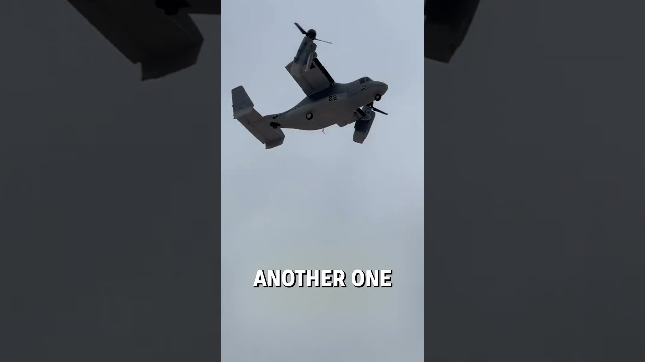 Incredible RC Plane Collection Jaysrcgarage