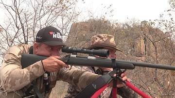 Discover the Ideal Rifle for an African Safari Hunt