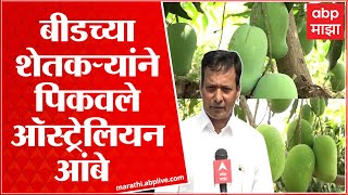 Beed : : बीडच्या स्मार्ट शेतकऱ्याची Australian शेती, मिळवला लाखोंचा नफा : ABP Majha