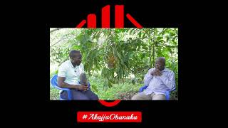 Omuntu Omugezi Abeera Innovative , Initiative and Creative