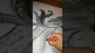 calamar gigante en dibujo a  lápiz