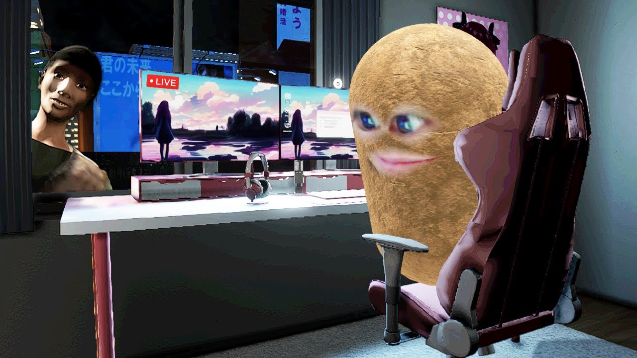 配信者になりました...