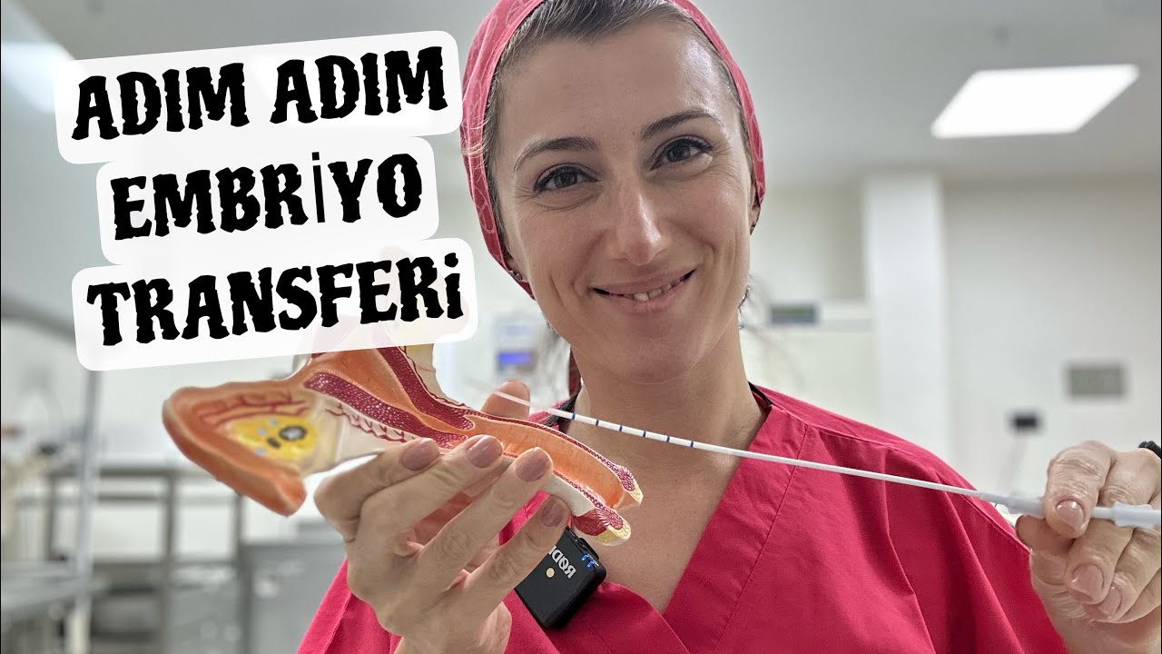 Adım adım embriyo transferini anlatıyorum