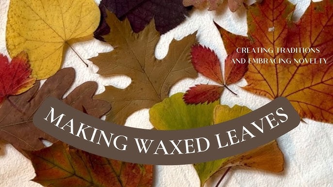 how to: wax paper and crayon fall leaves - V and Co. by Vanessa Christenson