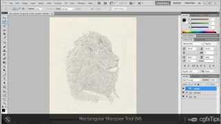 Photoshop Tutorial: Vignette/Vignetting