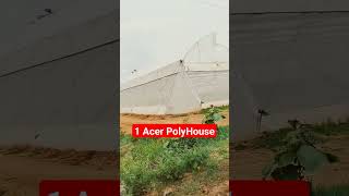 Polyhouse farming in Mirzapur ll #agriculturelife #agrilife #agrimachinery #protectedfarming