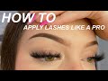 HOW TO APPLY FALSE LASHES LIKE A PRO