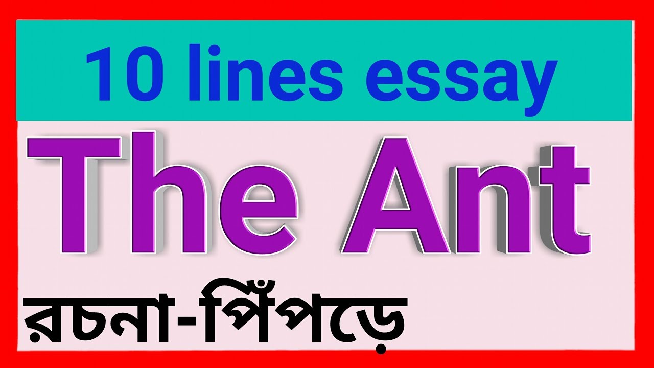 ant paragraph essay in hindi