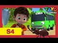 Tayo S4 EP25 l Duri's homework l Tayo the Little Bus l Season 4 Episode 25