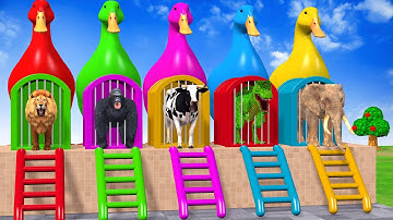 Long Slide Game With Cow Elephant Gorilla Hippopotamus Tiger - 3d Animal Game - Funny 3d Animals