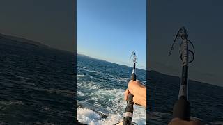 Landbase Longtail Tuna! #saltiga10k #tuna #longtail #landbase