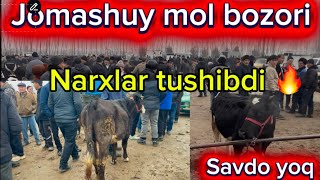 Mingbuloq Jomashuy mol bozori narxlari 12.02.2026