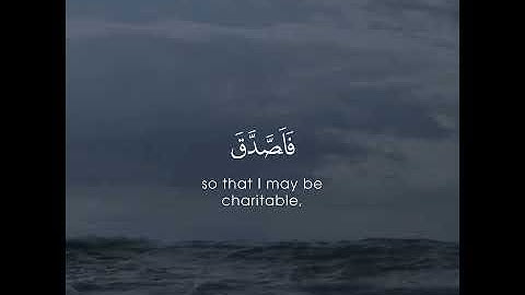 قرآن كريم || القارئ: أحمد النفيس || سورة: المنافقون || قراءه خاشعه 💖
