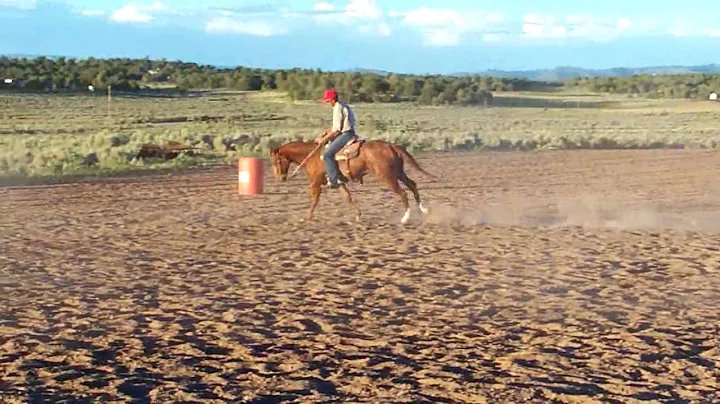 Jerry Mackey Barrel Horse B1