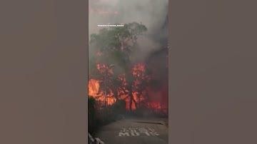 Blaze Engulfs Wang Fuk Court Towers Within Minutes