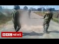 Mozambique: Why did these men shoot a naked woman dead? - BBC News