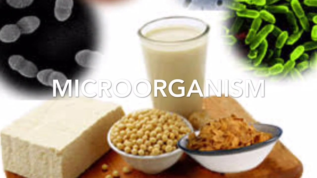 Пищевые токсикоинфекции. Бактерии. Микробные продукты это. Бактерии в пище. Микробы на овощах.