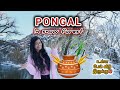 Snowல🌨️ Pongal Festival 😍 | What happened inside the forest 🥶 | First Experience in snow forest 😃